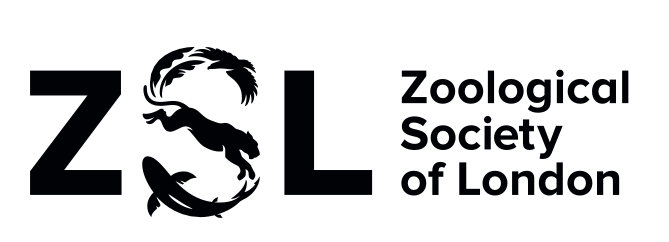 ZSL London - Certified Partner HETAIXING BAGS